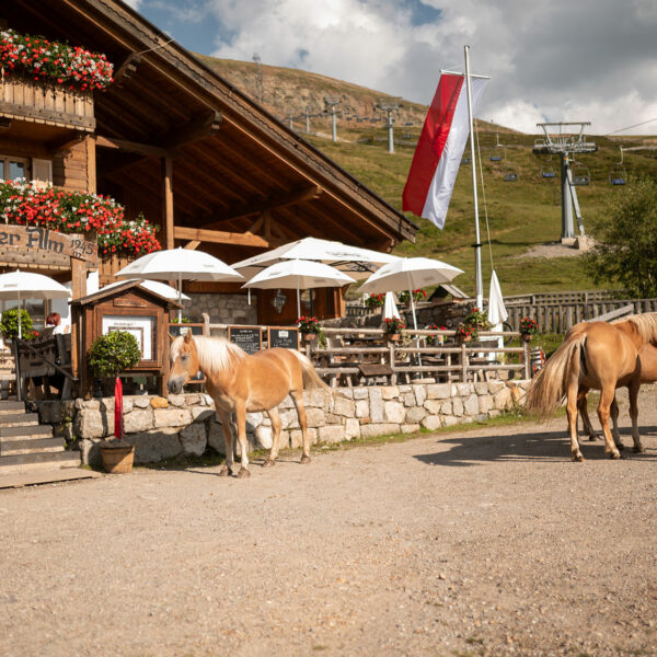 Kirchsteiger-Alm-aussen-36